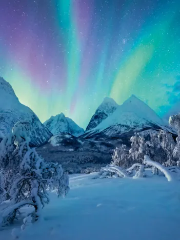 Produit Quand les Aurores Boréales Dansent Image
