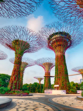 Produit Jardin de La Baie de Singapour Image