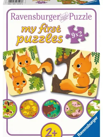 Produit 9 Puzzles - Les Animaux et leurs Bébés Image