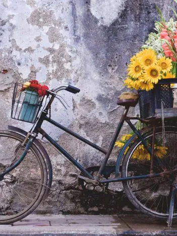 Produit Puzzle Moment - Bicyclette Image