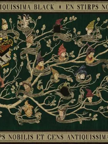 Produit Harry Potter - Arbre Généalogique Image