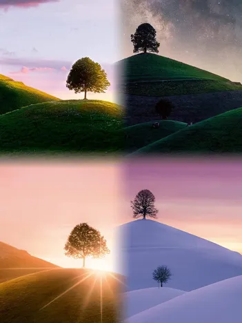 Produit Les saisons Image