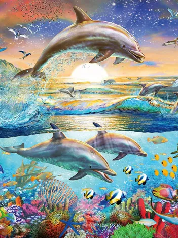 Produit Pièces XXL - Dolphin Paradise Image