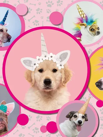 Produit Pièces XXL - Chiens Licornes Image