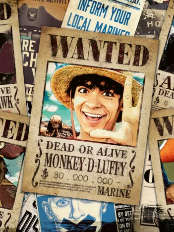 Produit Wanted ! - One Piece Image