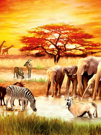 Produit La fierté du Massaï Image