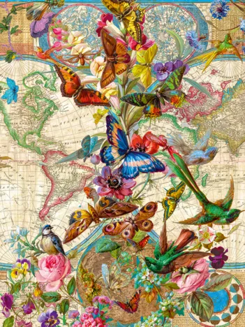 Produit Carte Faune et Flore Image