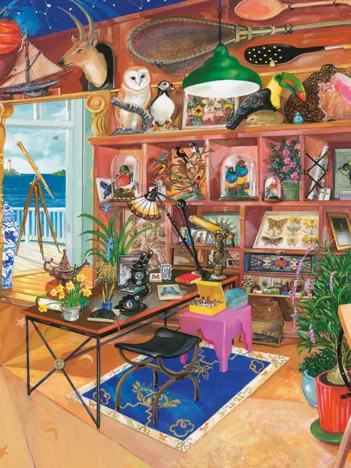 Produit Curieuse Collection Image