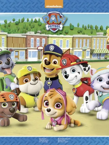 Produit Puzzle Cadre - Pat'Patrouille Image