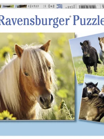 Produit 3 Puzzles - Chevaux Image