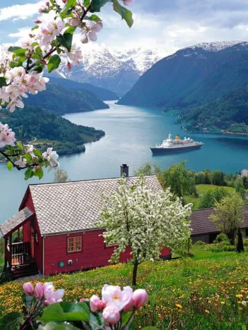 Produit Idylle Scandinave Image