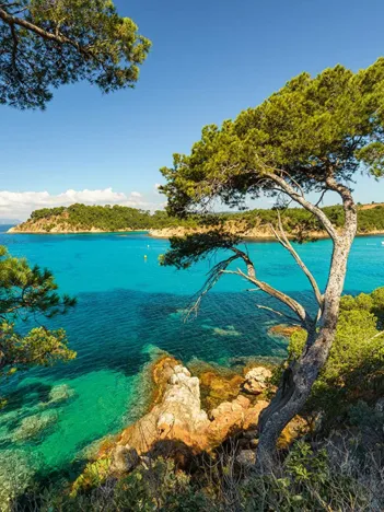 Produit Vue sur la Mer Image