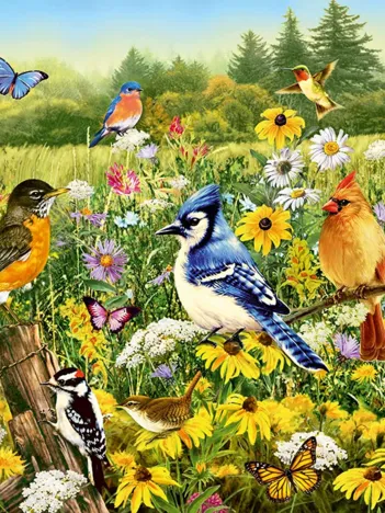 Produit Oiseaux Image