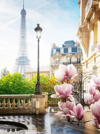 Produit Printemps à Paris Image