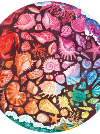 Produit Circle of Colors - Coquillage Image