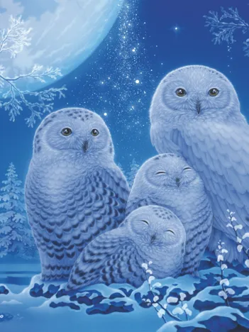 Produit Puzzle Glow in the Dark - Chouettes au Clair de Lune Image