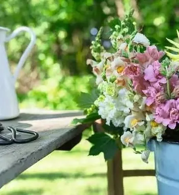 Produit Mufliers Aux Couleurs D'Été Image