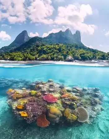 Produit Île Et Monde Corallien Image