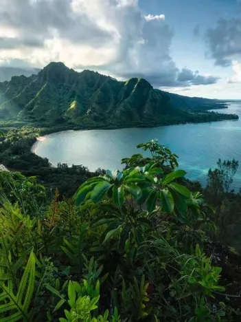 Produit Vue sur Hawaï Image