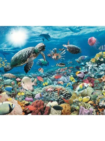 Produit Sous la Mer Image