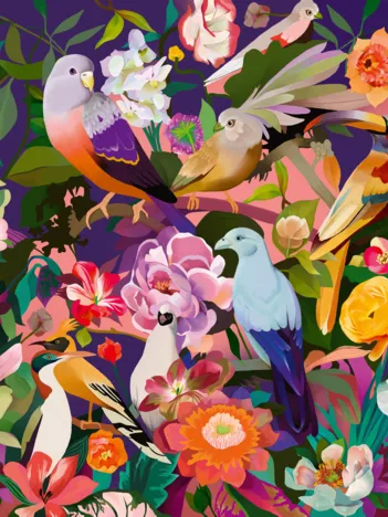 Produit Art & Soul - Oiseaux Image