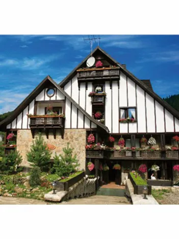 Produit Roumanie : Hotel Plai de dor, Bucovine Image