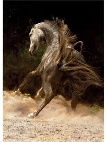 Produit Cheval dans la poussière Image