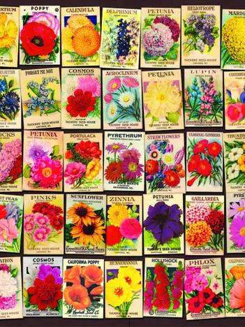 Produit Vintage Collage - Fleurs Image