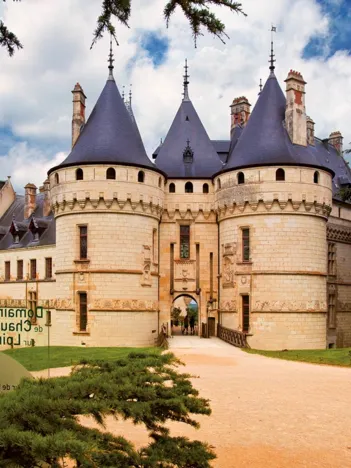 Produit Châteaux de France - Château de Chaumont Image
