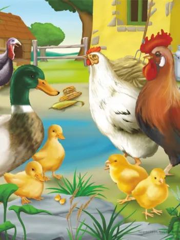 Produit Animaux de la ferme : poule, coq, canard, poussins et dindons Image