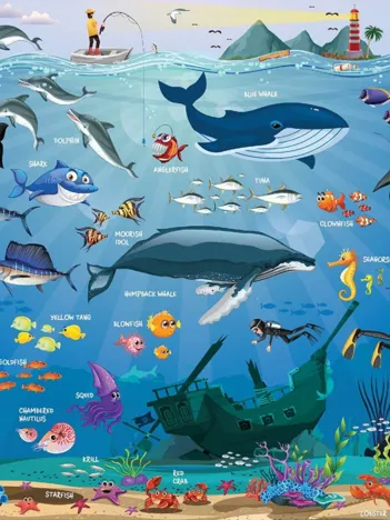 Produit Ocean Animals Image