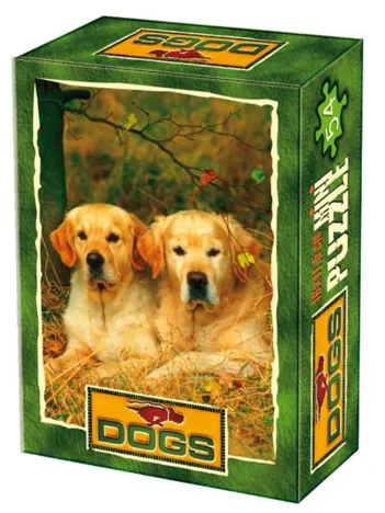 Produit Mini Puzzle - Animaux domestiques - Couple de labradors Image