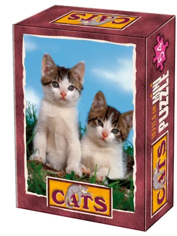 Produit Mini Puzzle - Animaux domestiques - Deux chatons un peu endormis Image