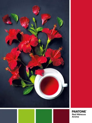 Produit Pantone - Goji Berry Image