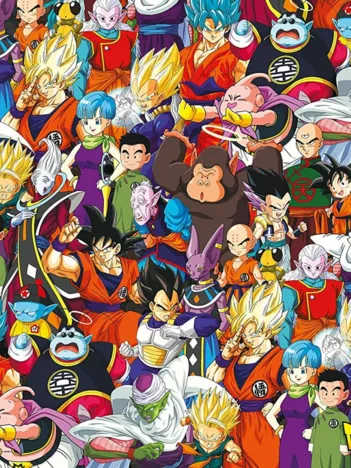 Produit Dragon Ball Challenge Image