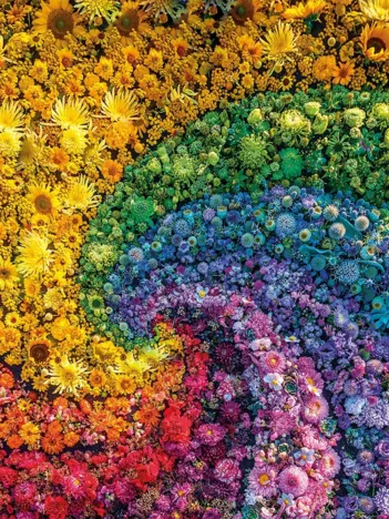 Produit Colorboom - Tourbillon de Fleurs Image