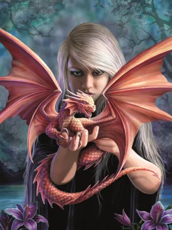 Produit Anne Stokes - Dragonkin Image