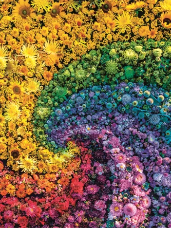 Produit Colorboom - Tourbillon de Fleurs Image