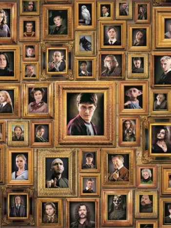Produit Impossible Harry Potter Image
