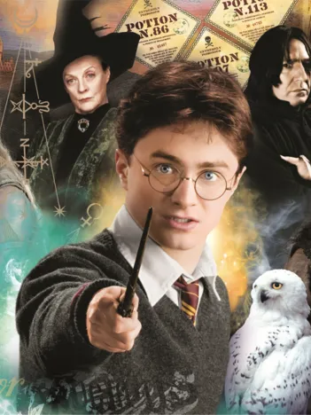 Produit Harry Potter Image