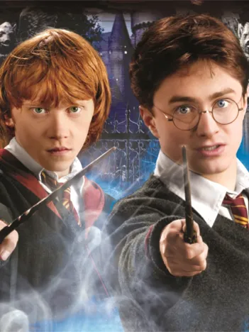 Produit Harry Potter Image