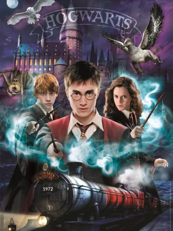 Produit Harry Potter Image