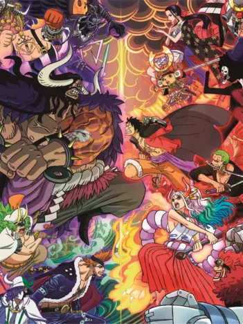 Produit One Piece Image