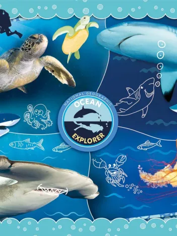 Produit Ocean Explorer - Supercolor Puzzle Image