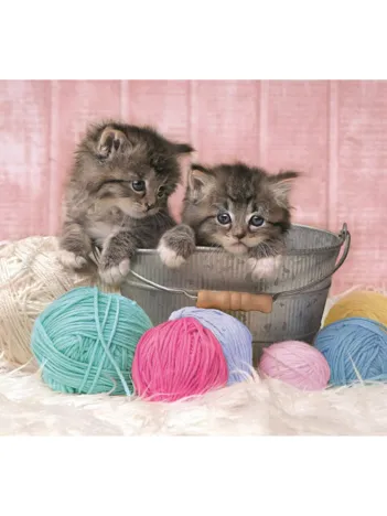 Produit Sweet Kittens Image