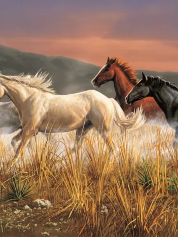 Produit Chevaux sauvages Image