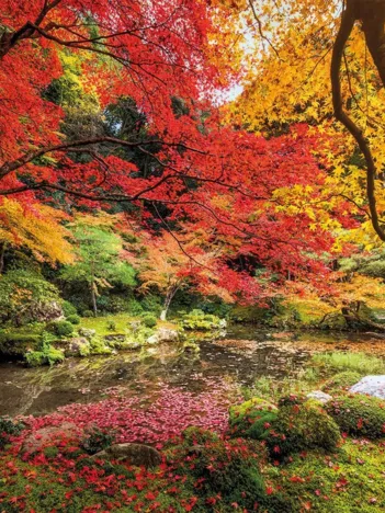 Produit Autumn Park Image