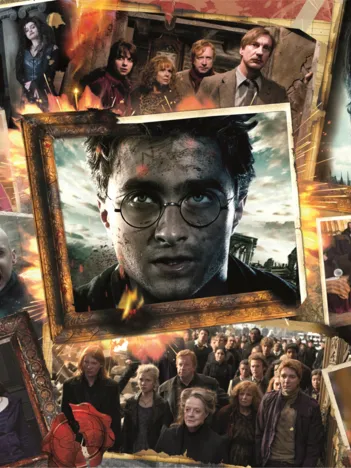 Produit Harry Potter Image
