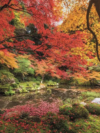 Produit Parc de l'Automne Image