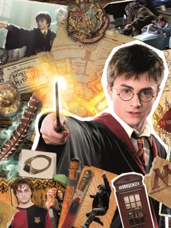 Produit Harry Potter Image